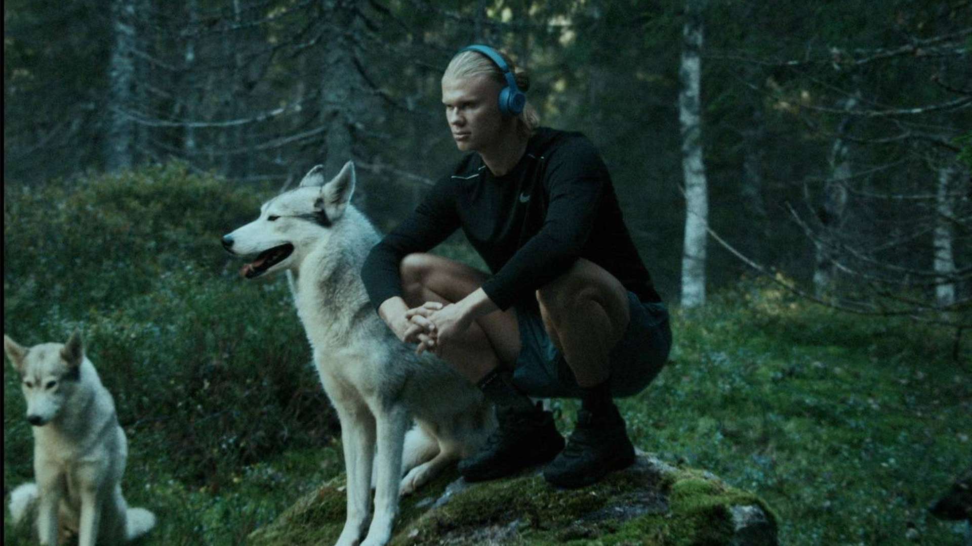 倪腾tonynicholson的创新之旅探索科技与艺术的交汇点