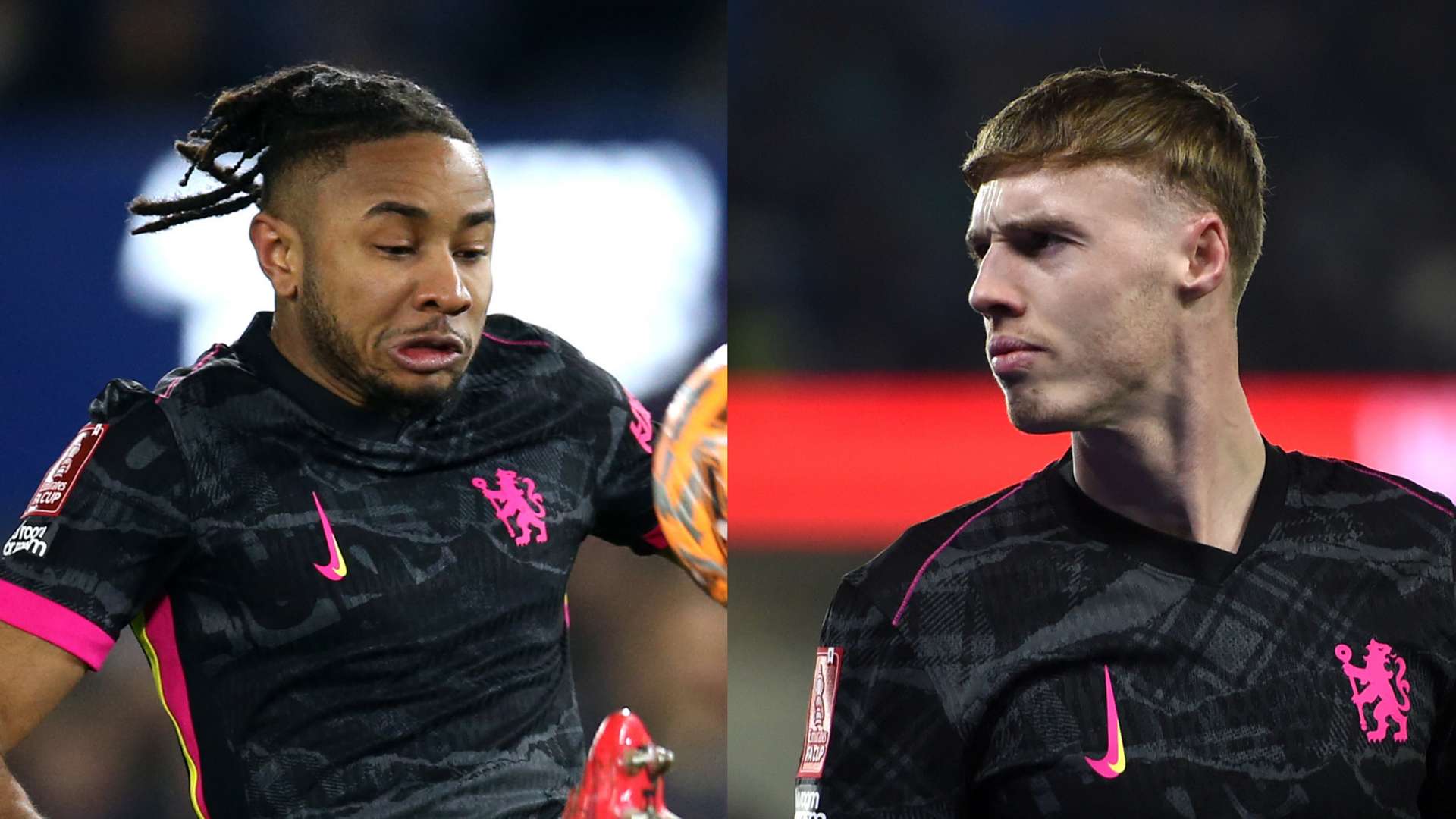 他们的个人 他们的个人