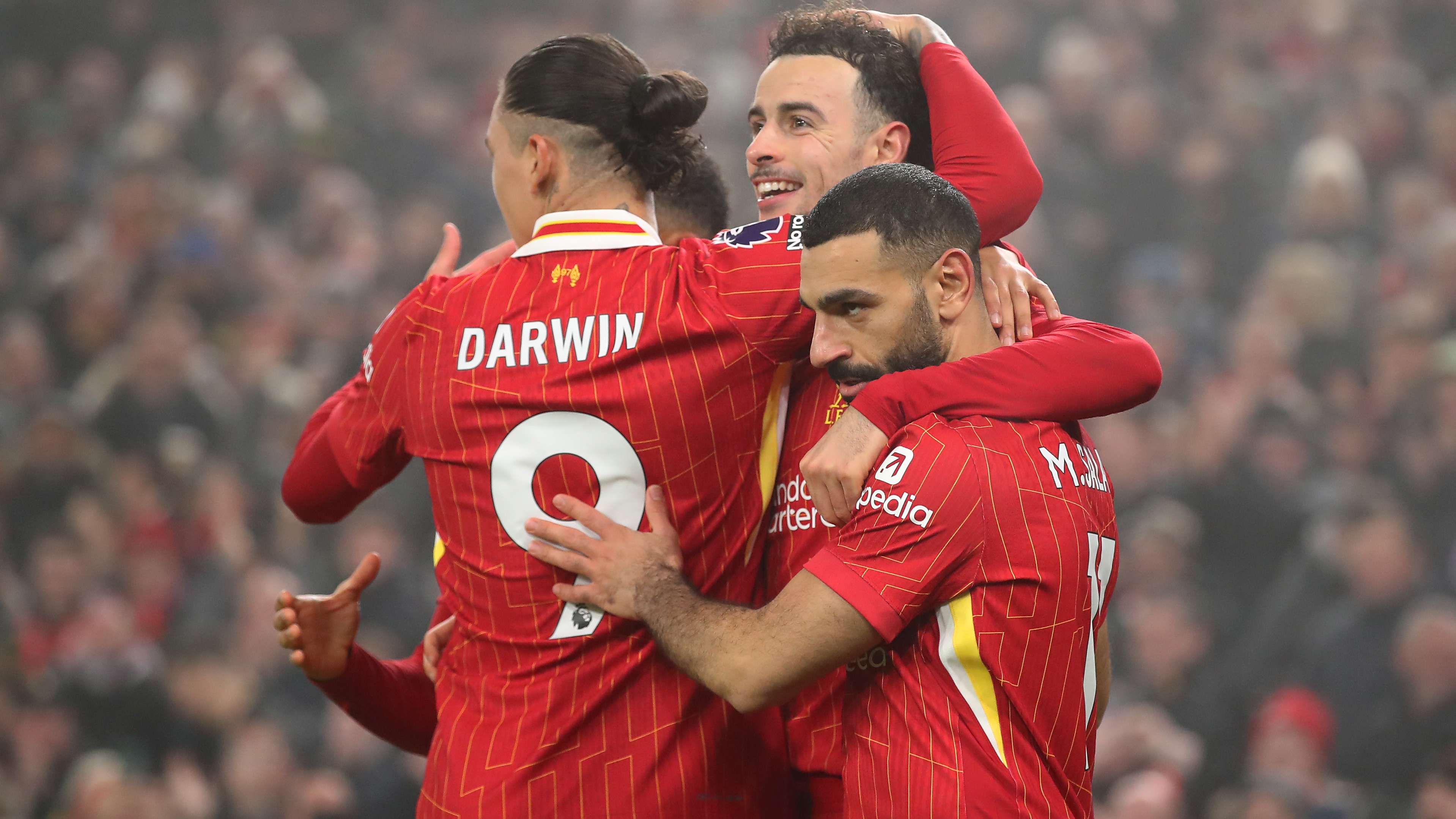 箭爱好者 箭爱好者