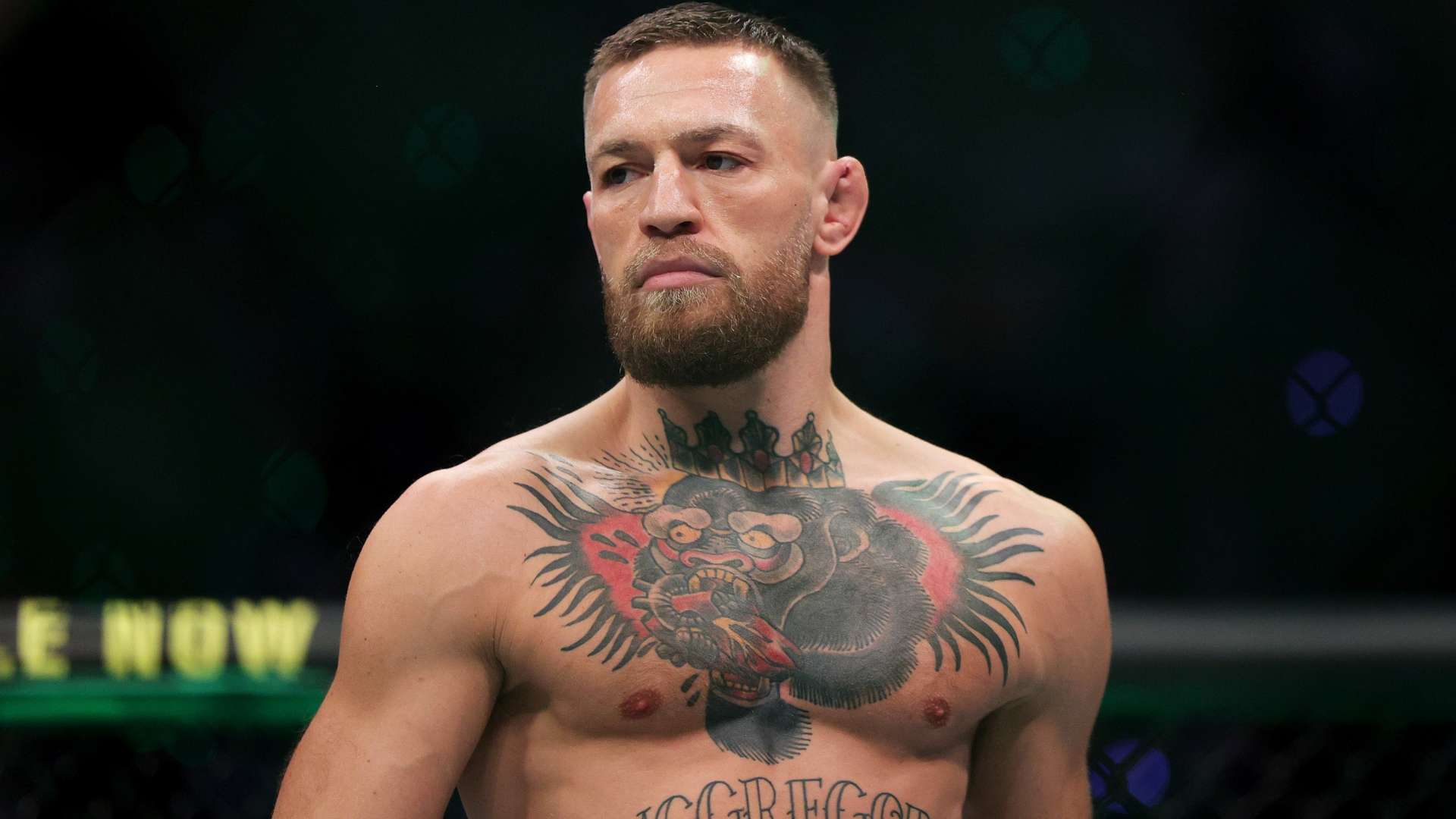 能的挖掘 能的挖掘